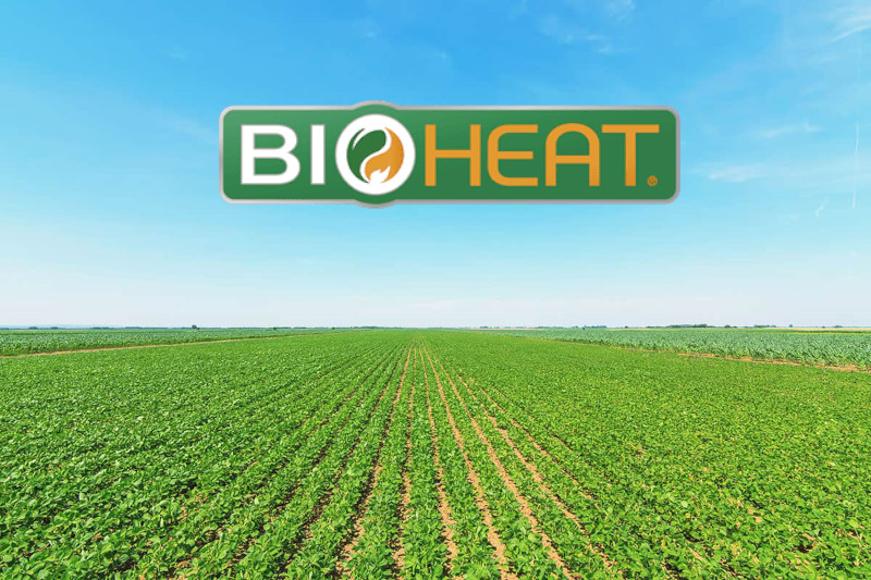 bioheat-field2